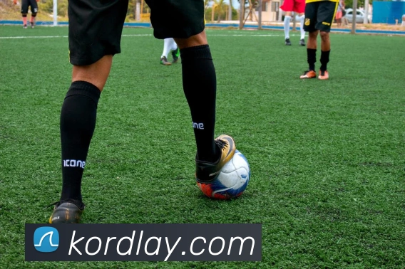 互动解说服务